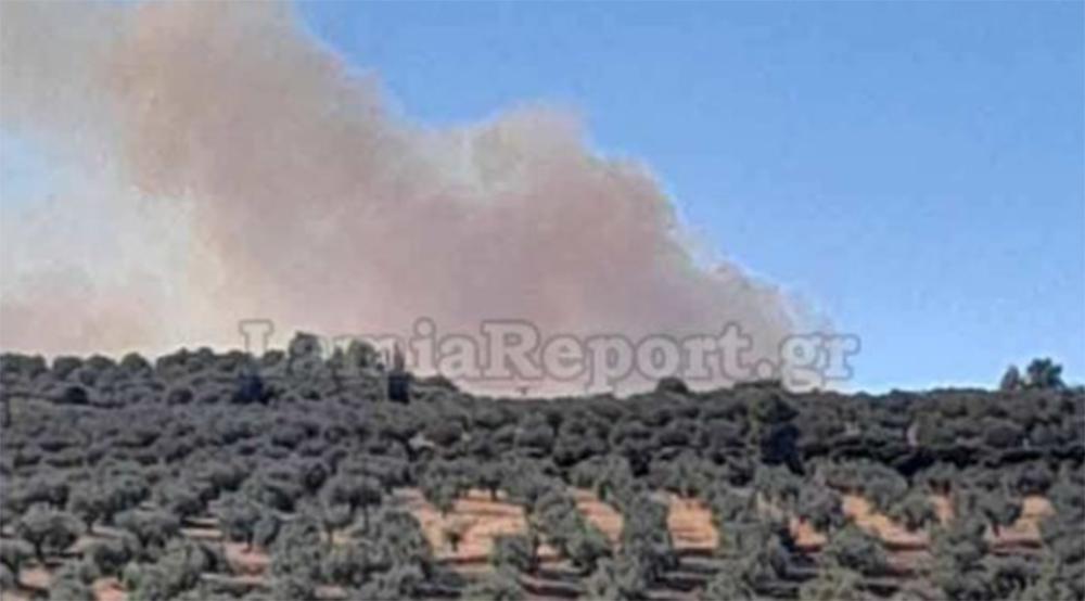 Σε εξέλιξη φωτιά στην Αταλάντη – Στο σημείο επίγειες και εναέριες δυνάμεις
