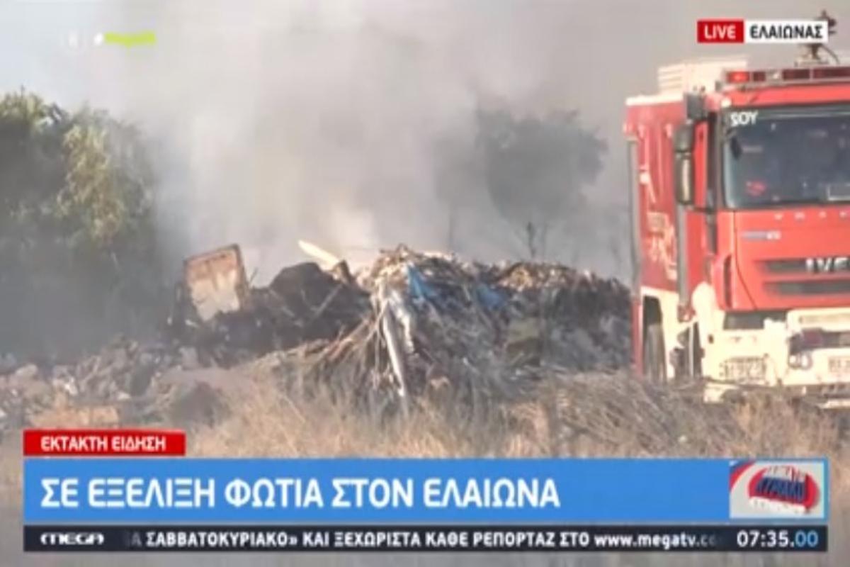 Φωτιά στον Ελαιώνα: Υπό έλεγχο η πυρκαγιά - Άμεση επέμβαση της Πυροσβεστικής