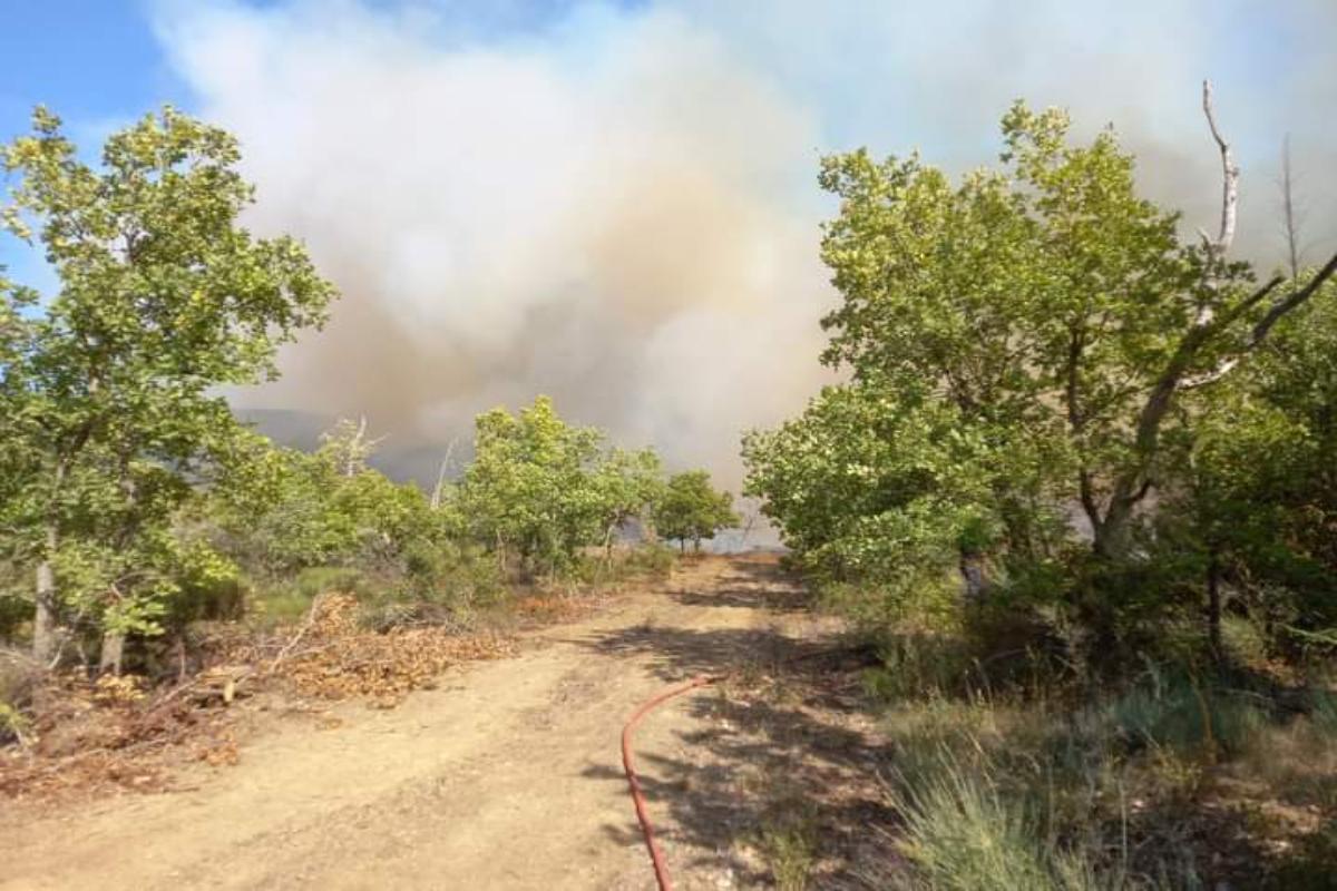 Μεγάλη φωτιά στην Αρκαδία – Συναγερμός στην Πυροσβεστική, μήνυμα του 112 για το Λεοντάρι
