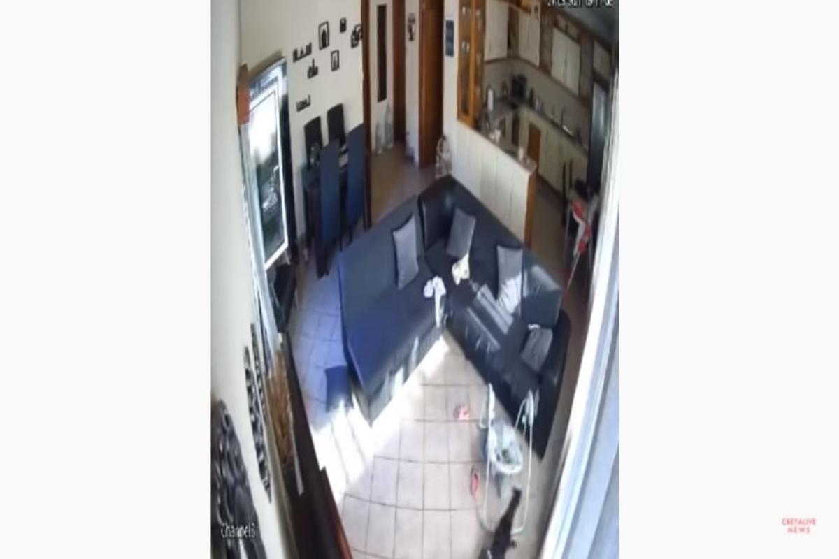 Σεισμός στο Ηράκλειο: Σκυλάκι τρομάζει τη στιγμή που «χτυπούν» τα Ρίχτερ – Κάνει… σβούρες και αρχίζει να κλαίει
