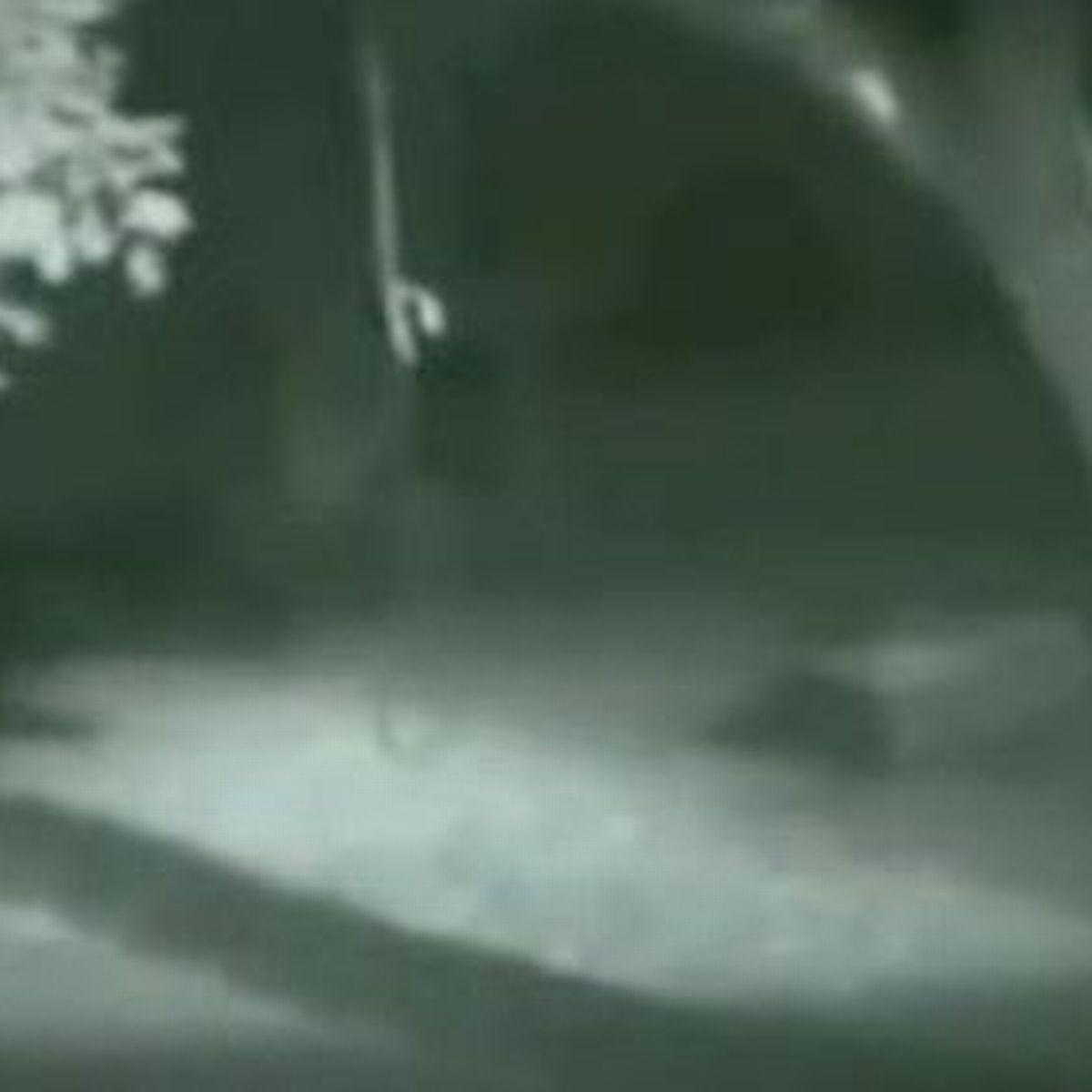 Μεγαλοπόδαρος