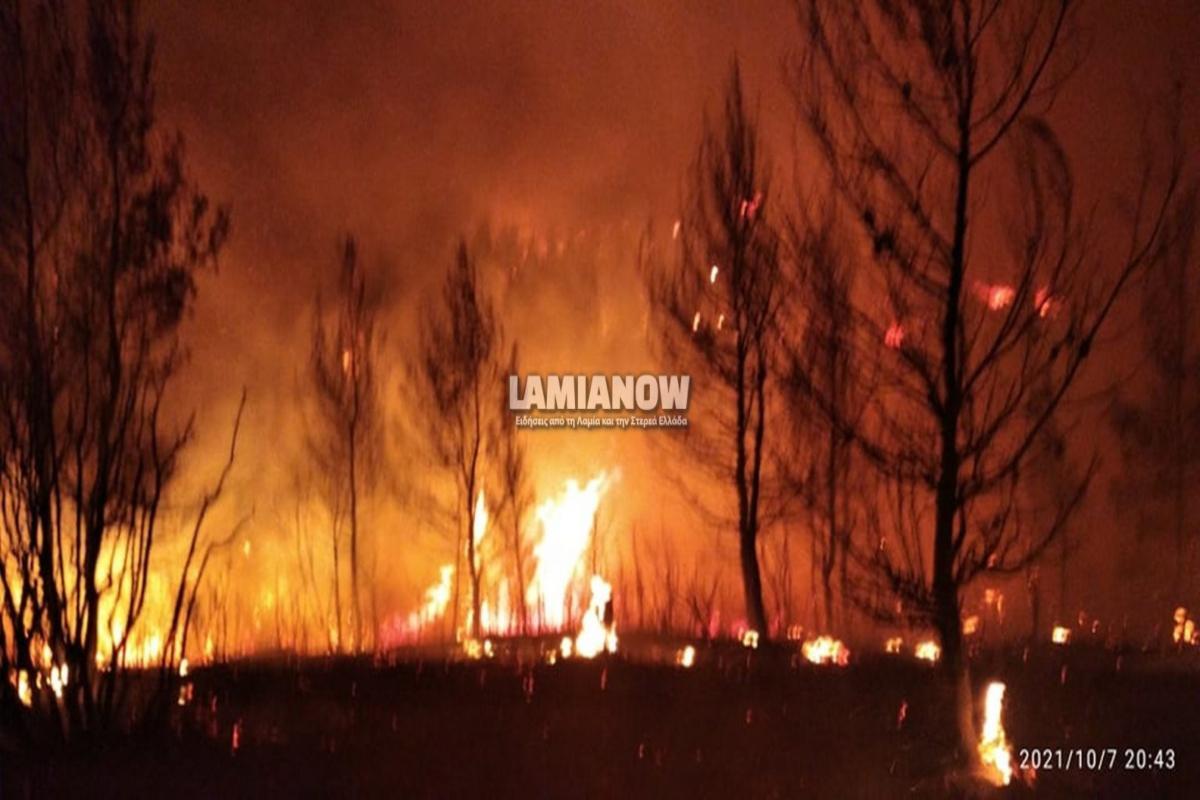 Μεγάλη φωτιά στο Μαρτίνο – Στο σημείο ισχυρές πυροσβεστικές δυνάμεις
