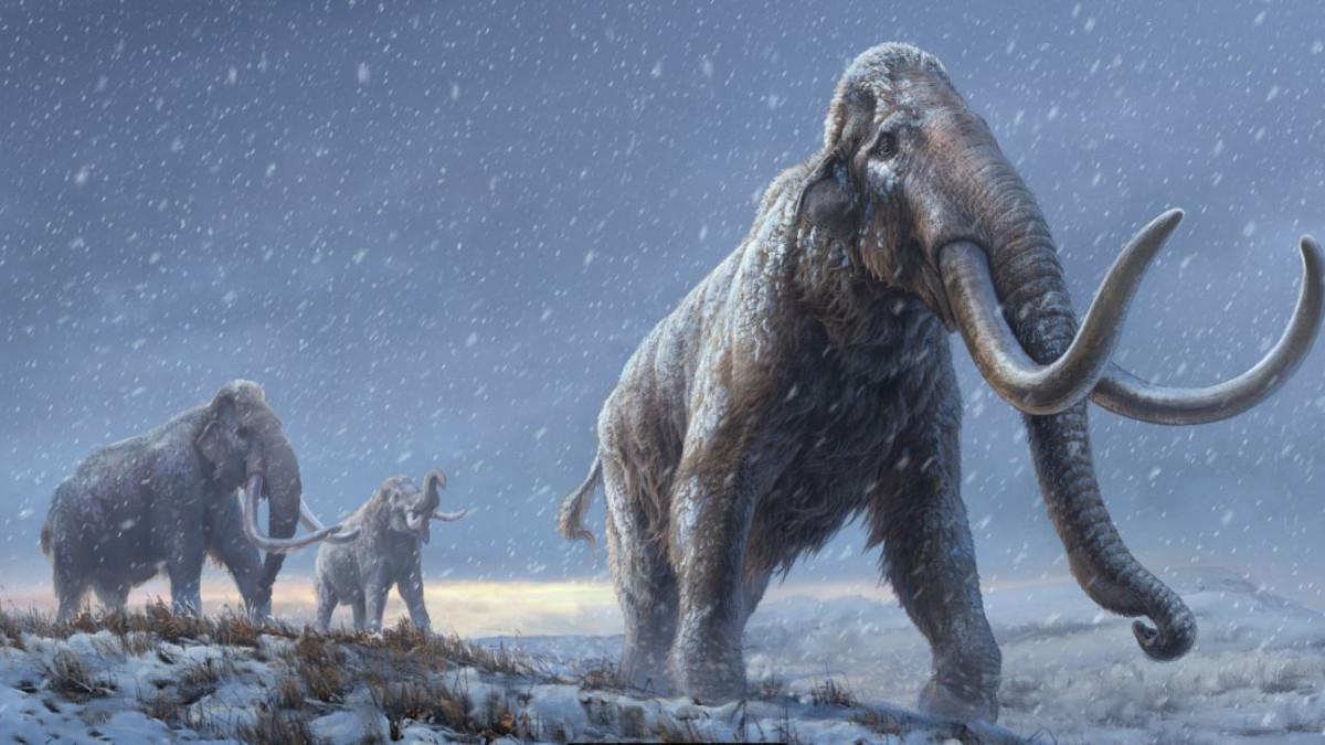 κλιματική αλλαγή