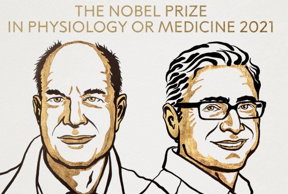 Νόμπελ Ιατρικής στην ανακάλυψη του μηχανισμού της αφής