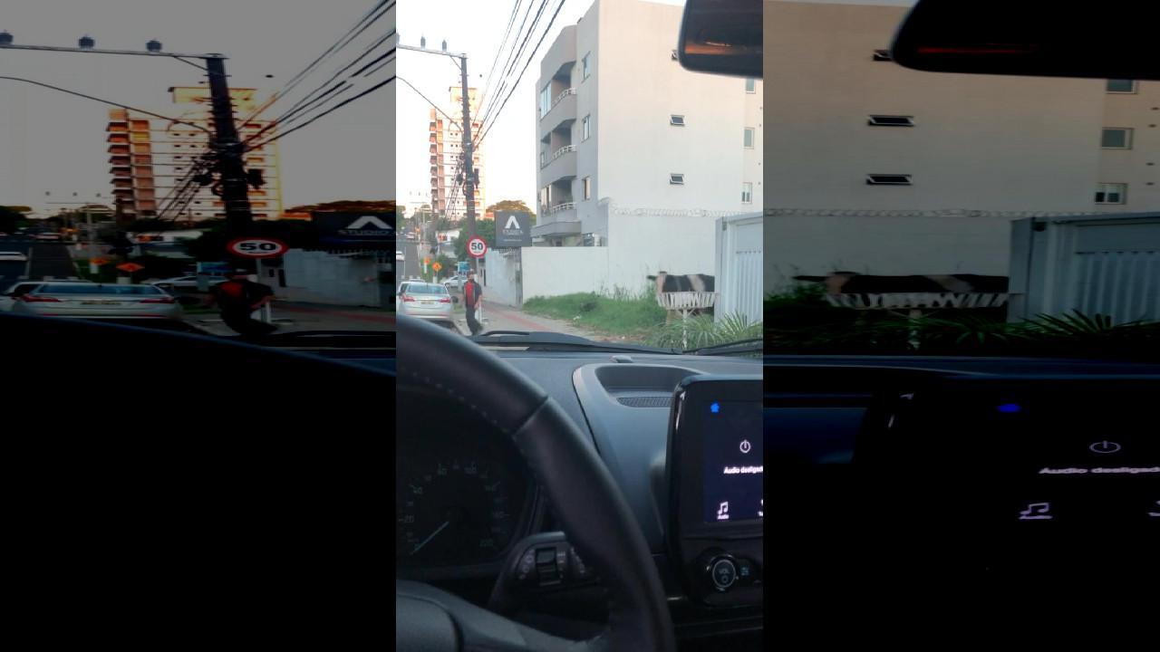 Τα viral της ημέρας: Η σύγκρουση μιας αγελάδας με έναν…μοτοσικλετιστή και άλλα
