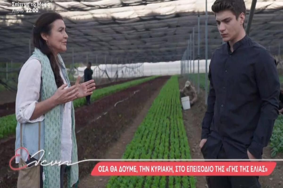 Η γη της Ελιάς: Όλα όσα θα δούμε από την Κυριακή έως και την Πέμπτη – Απόσπασμα από το επόμενο επεισόδιο [βίντεο]