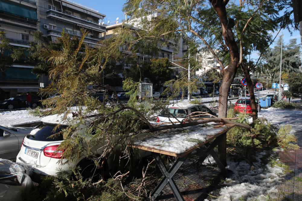 Δήμος Αθηναίων αποζημιώσεις