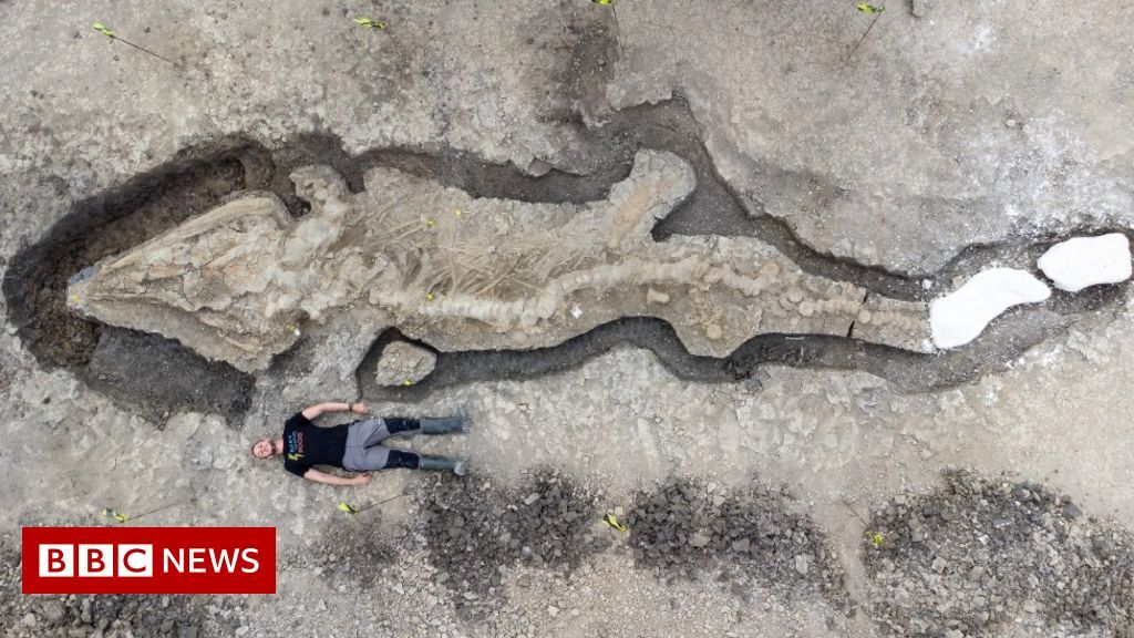 δράκος ιχθυόσαυρος