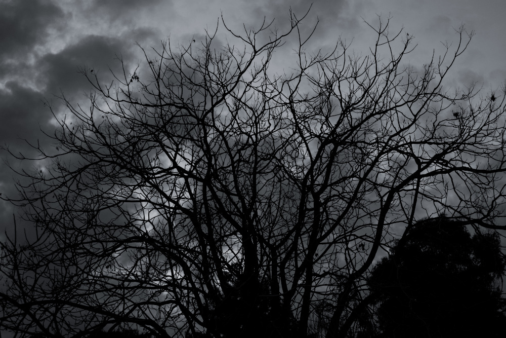 Καιρός: Βελτίωση