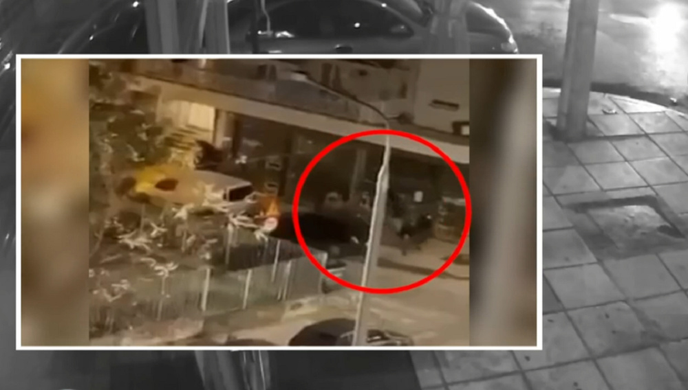 Δολοφονία Άλκη: