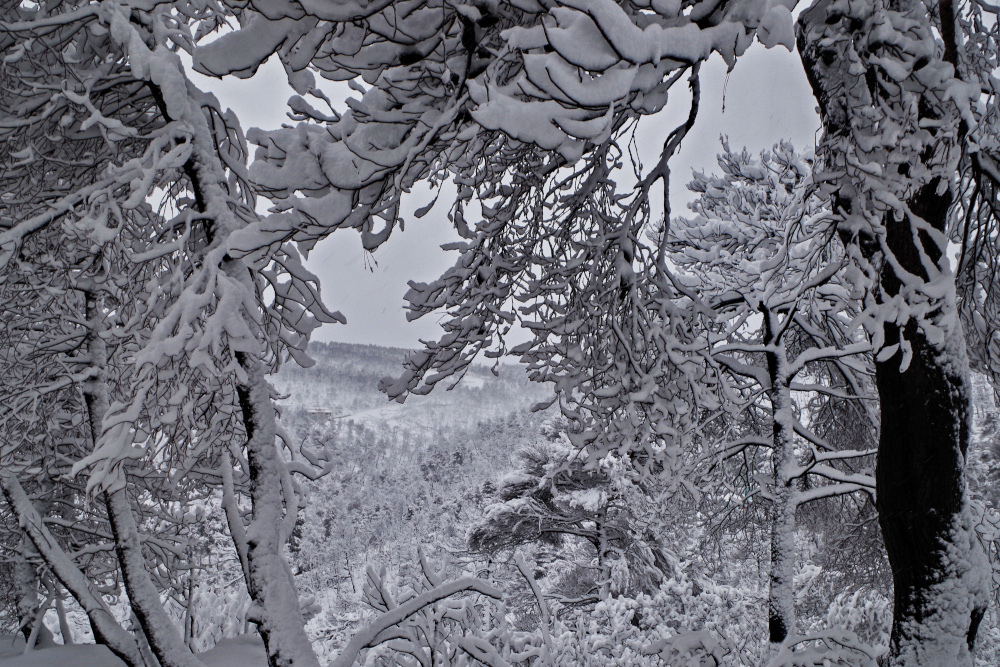 Κακοκαιρία «Φίλιππος»: Ντύνεται ξανά στα λευκά η Αττική [εικόνες & βίντεο]