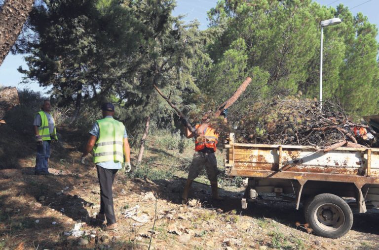 Δράσεις αντιπυρικής προστασίας: Για πρώτη φορά σαρωτικοί καθαρισμοί στα δάση της χώρας