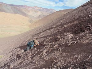 Χιλή σεισμός Ατακάμα