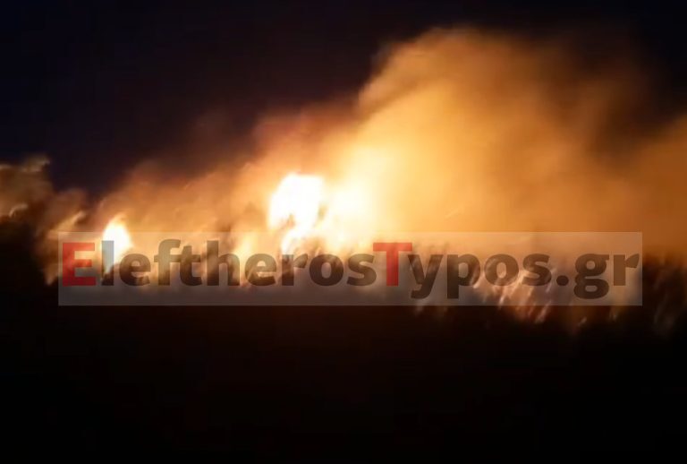 Συναγερμός από μεγάλη φωτιά στο νότιο Πήλιο – Πνέουν ισχυροί άνεμοι [βίντεο]