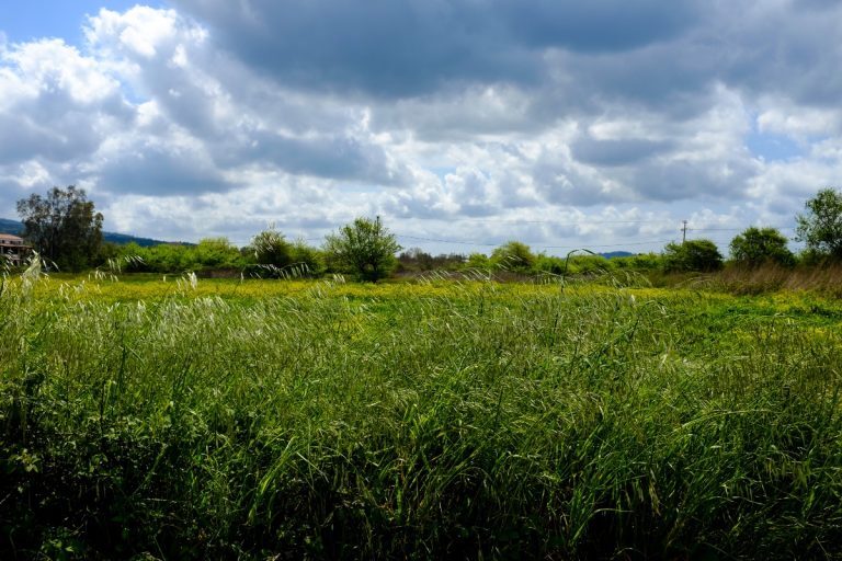 Καιρός: Κυριακή χωρίς βουτιές - Λασποβροχές, αφρικανική σκόνη και νεφώσεις, η πρόγνωση του meteo