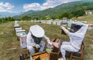 Με νέες ειδικότητες τα Δημόσια ΙΕΚ