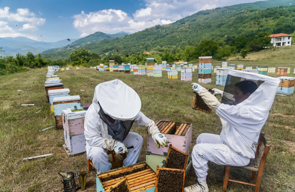 Με νέες ειδικότητες τα Δημόσια ΙΕΚ