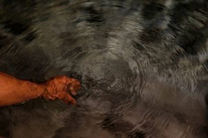 επιστήμονας