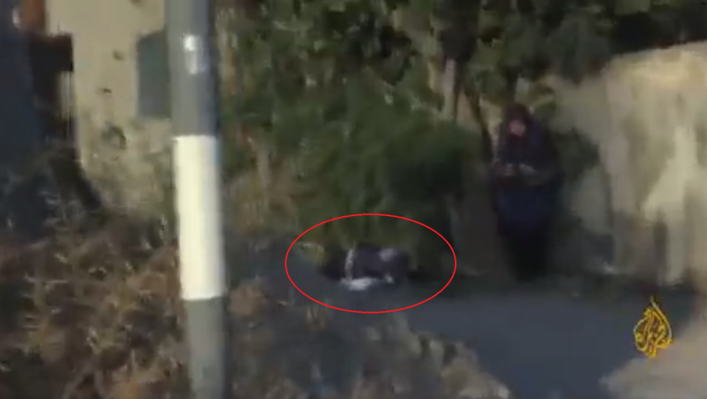 Δυτική Όχθη: Βίντεο – ντοκουμέντο από τη στιγμή που η δημοσιογράφος του αλ Τζαζίρα πέφτει νεκρή