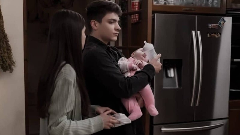 Γη της Ελιάς