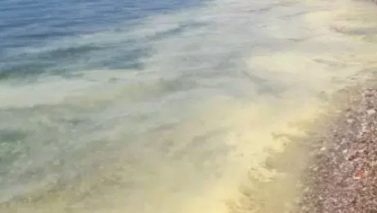 Πάτρα: Κιτρίνισε η θάλασσα, ανησύχησε ο κόσμος – Πού οφείλεται το φαινόμενο