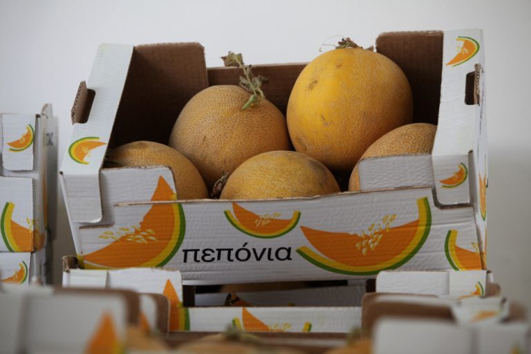 πεπόνια