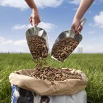 Επιχορήγηση 89 εκατ. ευρώ για τις ζωοτροφές στους κτηνοτρόφους – Οι δικαιούχοι, τα ποσά και οι προϋποθέσεις