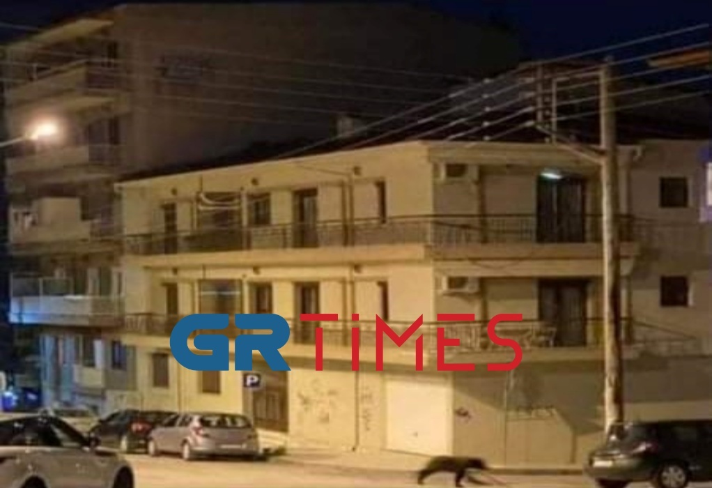 Αρκούδα βγήκε βόλτα στην Φλώρινα – Την «πήραν» στο κυνήγι τα αδέσποτα