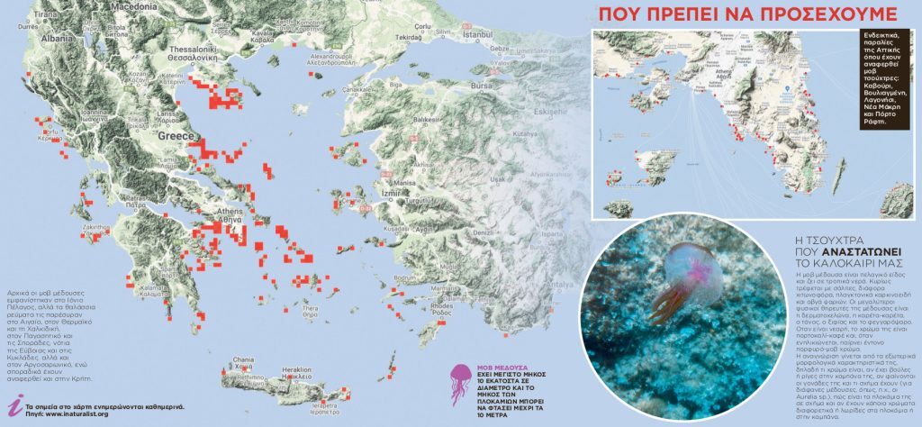 Εσωτερική εικόνα άρθρου