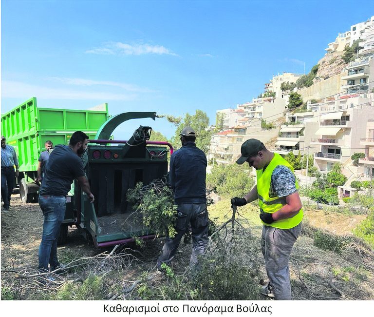 Επιχείρηση «καθαρισμοί δασών»
