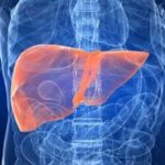 Απίστευτη ανακάλυψη για το ανθρώπινο συκώτι – Φτάνει μόνο μέχρι την ηλικία των τριών ετών