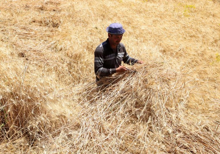 Συρία: Η ξηρασία και ο πόλεμος στην Ουκρανία απειλούν τη χώρα με λιμό