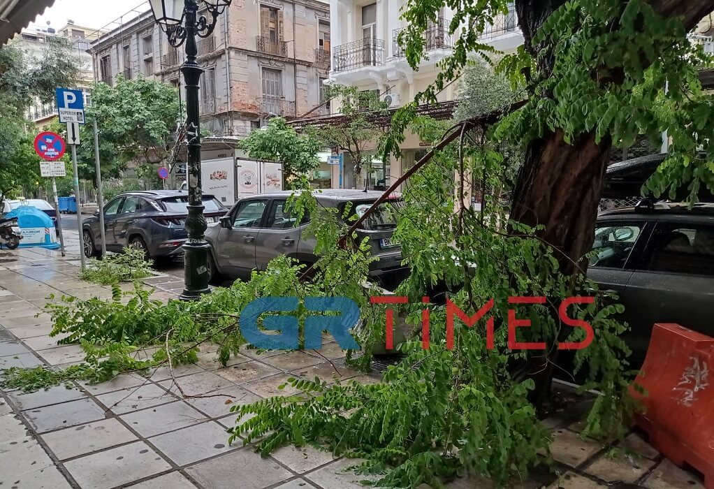 Στο επίκεντρο της κακοκαιρίας η Κεντρική Μακεδονία – Ζημιές και προβλήματα στους δρόμους [εικόνες]