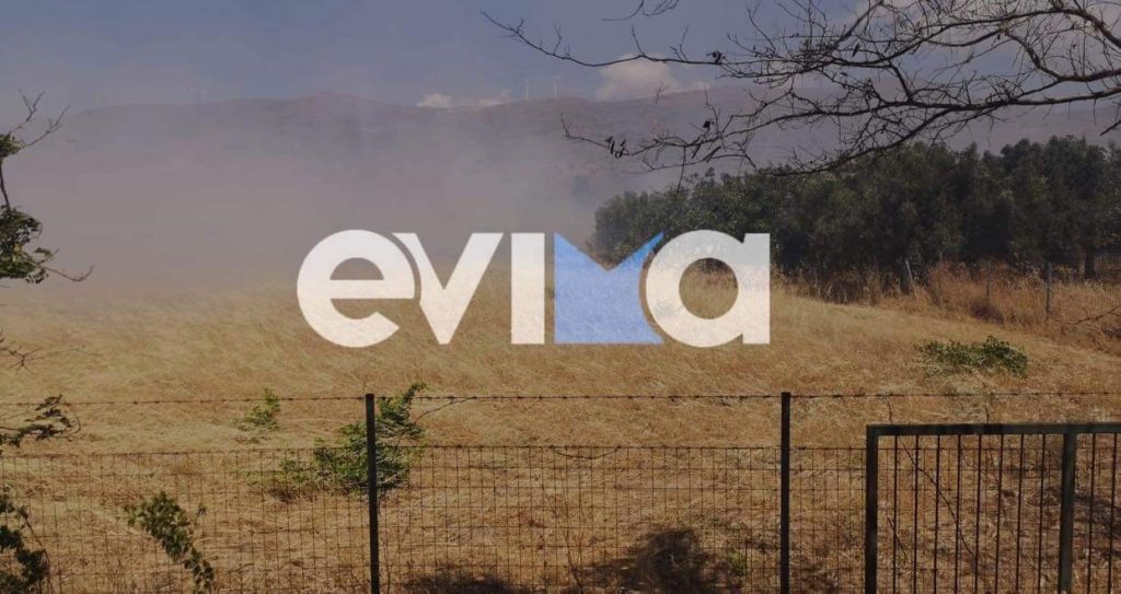 Μεγάλη φωτιά τώρα στον Κάμπο Καρύστου στην Εύβοια