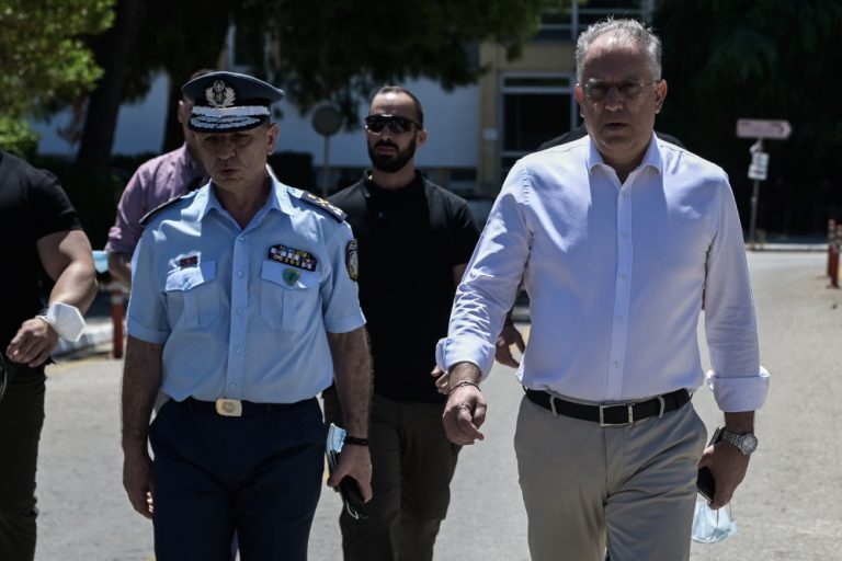 Θεοδωρικάκος: Η Ελληνική Αστυνομία δρα αποτελεσματικά απέναντι στο έγκλημα