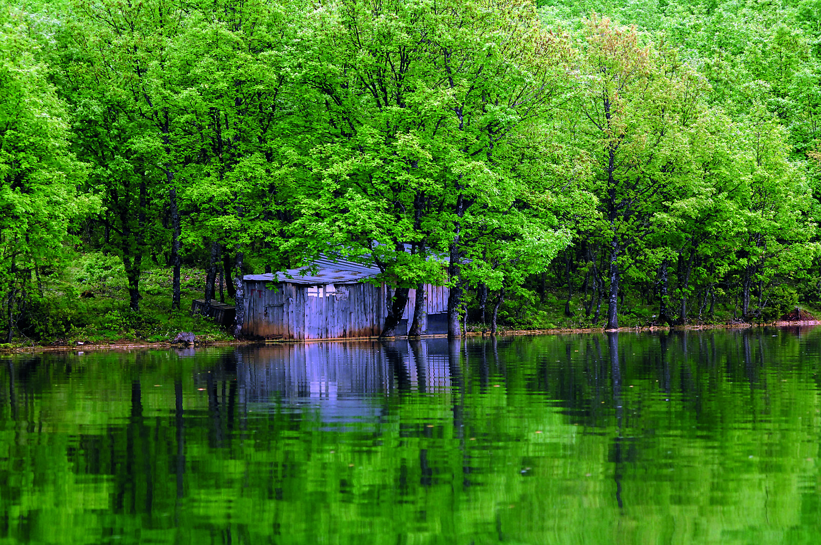 Ταξίδι στην Λίμνη Πλαστήρα: Η «νεράιδα» της Θεσσαλίας
