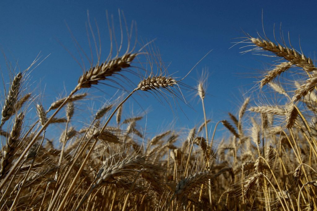 Τι προβλέπει η συμφωνία για την εξαγωγή των σιτηρών της Ουκρανίας