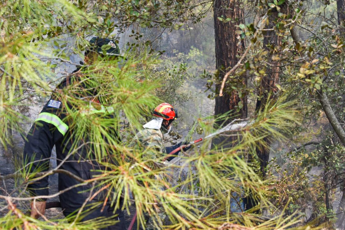 Φωτιά στον Έβρο Δαδιά