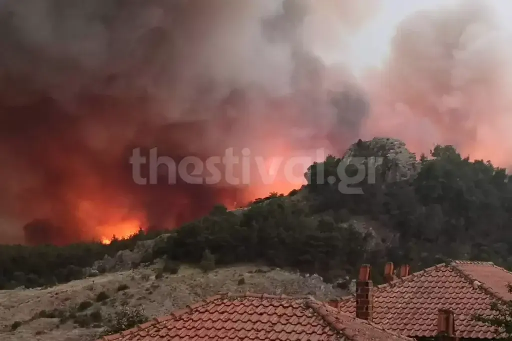 Πυρκαγιά στο Δάσος της Δαδιάς: Για 8 πιθανούς υπόπτους κάνουν λόγο οι Αρχές