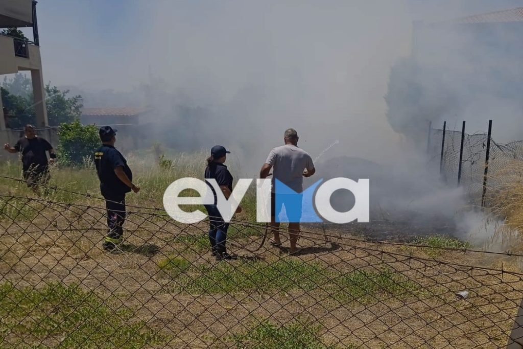 Φωτιά στην Ερέτρια: Απειλούνται σπίτια – Μάλλον προκλήθηκε από τσιγάρο