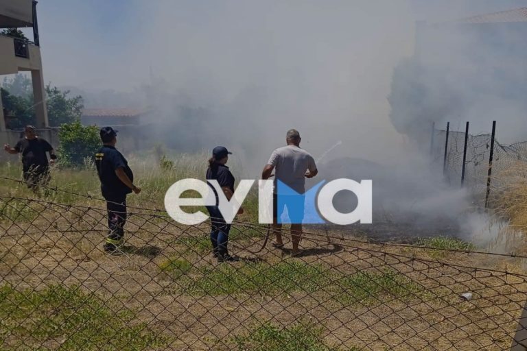 Φωτιά στην Ερέτρια: Απειλούνται σπίτια – Μάλλον προκλήθηκε από τσιγάρο