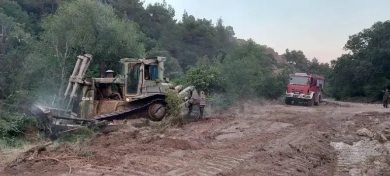 Φωτιά στον Έβρο: Σκληρή μάχη με τις φλόγες - Αντιπυρικές ζώνες δημιουργεί ο Στρατός