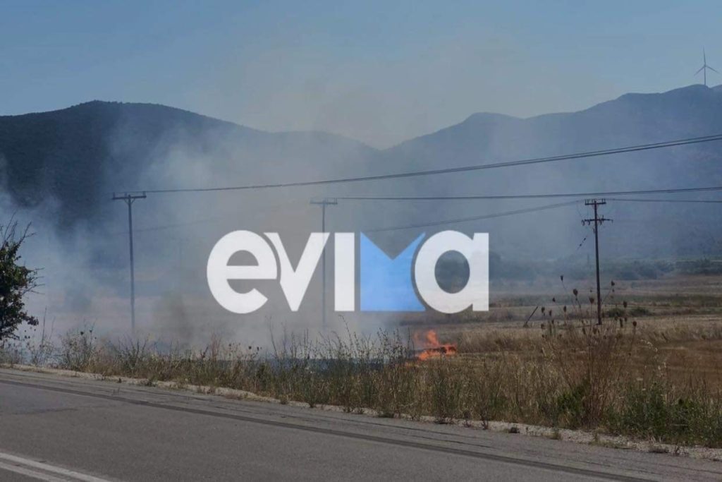 Φωτιά στην Εύβοια – Συναγερμός στην Πυροσβεστική