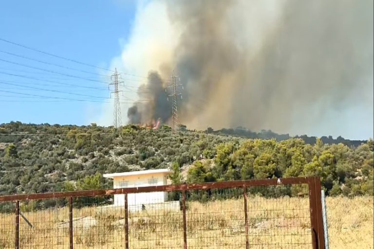 Φωτιά στη Φθιώτιδα: Στις φλόγες δασική έκταση στο Πετρωτό Δομοκού – Ενισχύονται συνεχώς οι δυνάμεις