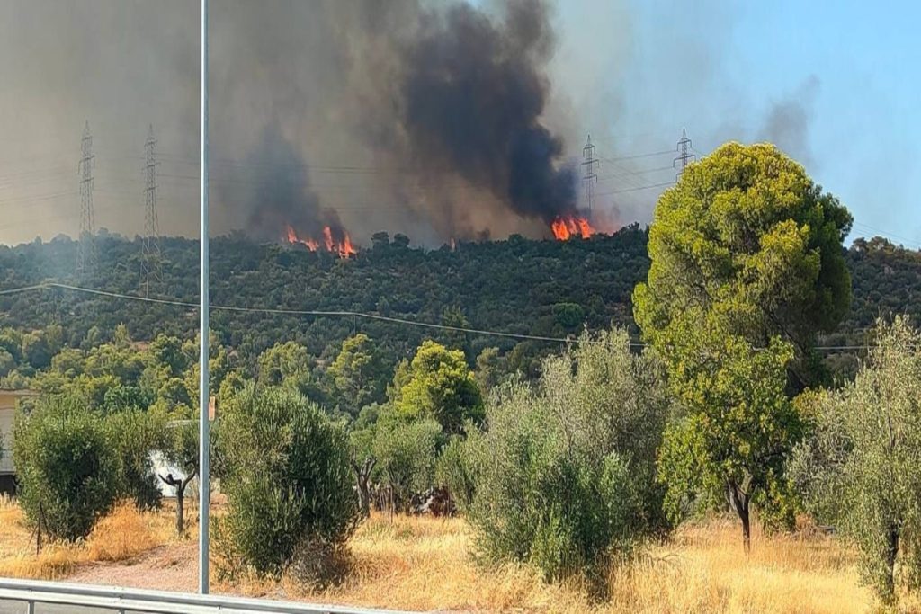 Μεγάλη φωτιά στη Μάνδρα – Εκκενώθηκαν Νέος Πόντος και Νέα Ζωή [βίντεο]