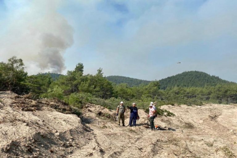 Φωτιά στον Έβρο: Ξεκίνησε να βρέχει -Σηκώθηκαν και τα εναέρια μέσα [βίντεο]