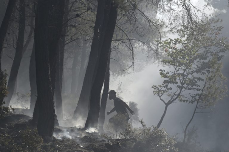 Φωτιά τώρα στην Ζαχάρω Ηλείας – Σε νέο συναγερμό η Πυροσβεστική, ενισχύονται οι δυνάμεις