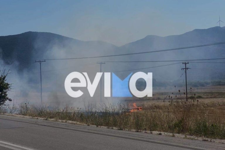 Φωτιά στην Εύβοια – Συναγερμός στην Πυροσβεστική