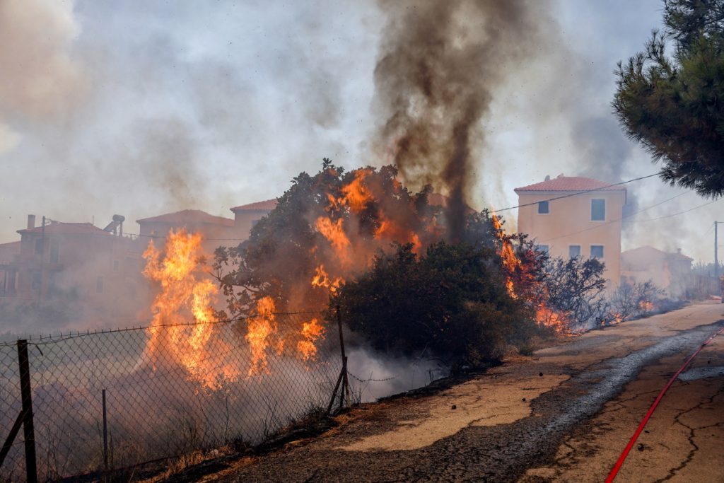 Πυροσβεστική: Συνολικά 40 δασικές πυρκαγιές το τελευταίο 24ωρο