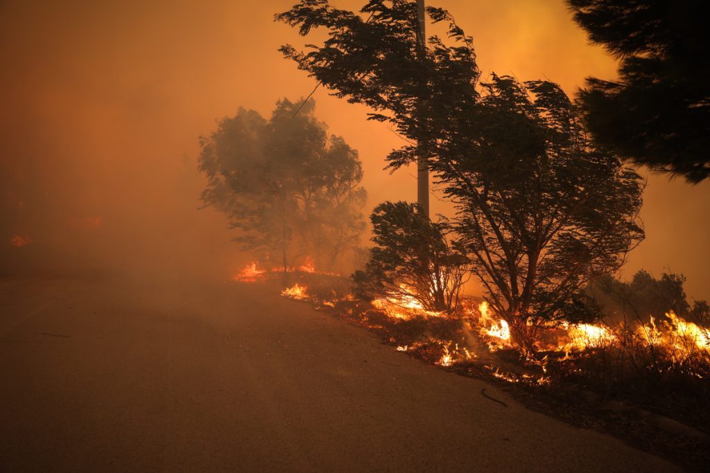 Λαμία: Φωτιά στο Λογγίτσι πάνω από τη Στυλίδα